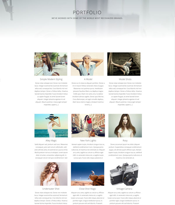 Agency – Portfolio