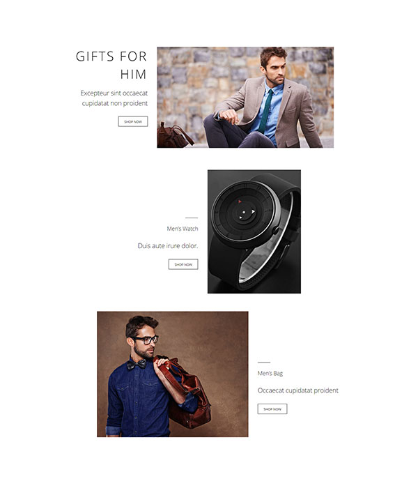 Shop Landing – Gifts 2