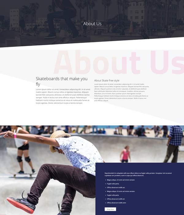 Shop Sport – About