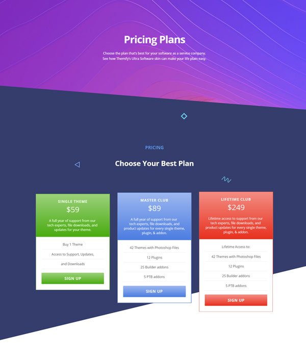 Software – Pricing